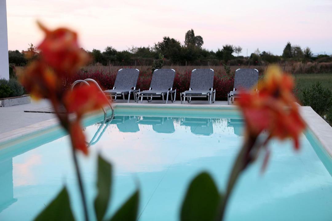 Iris 2 Villa Paralia Katerinis Bagian luar foto